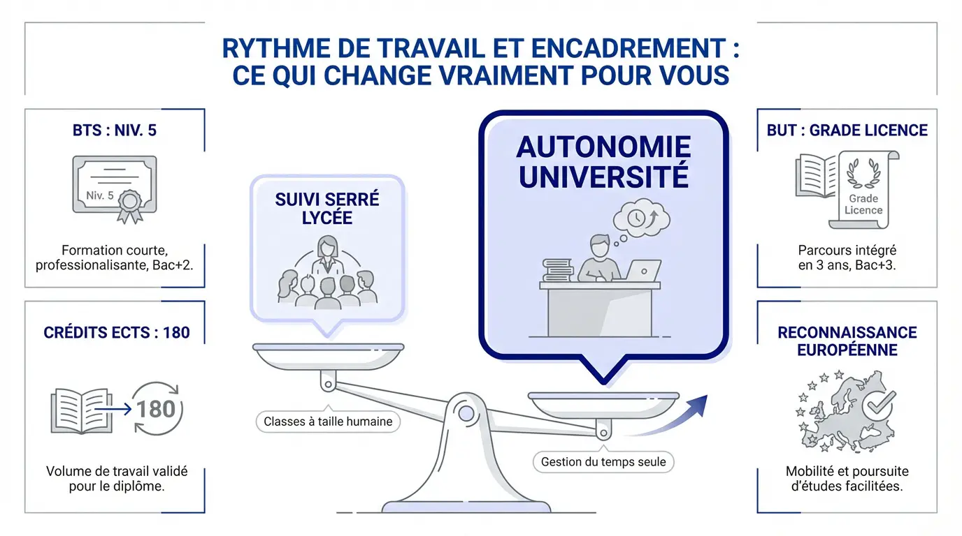 Étudiants en plein travail collaboratif illustrant les différences d'encadrement entre BTS et Licence